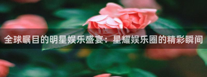 wg电子平台：全球瞩目的明星娱乐盛宴：星耀娱乐圈的精彩瞬间