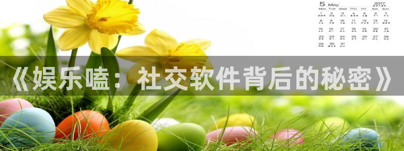 wg电子：《娱乐嗑：社交软件背后的秘密》