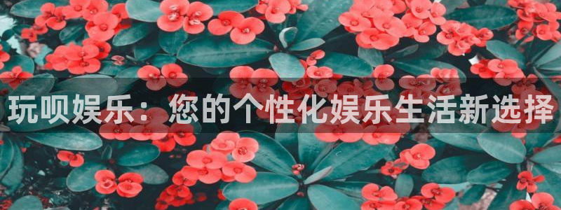 wg电子：玩呗娱乐：您的个性化娱乐生活新选择