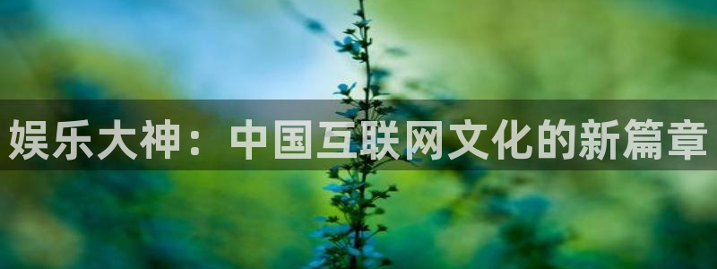 wg电子：娱乐大神：中国互联网文化的新篇章